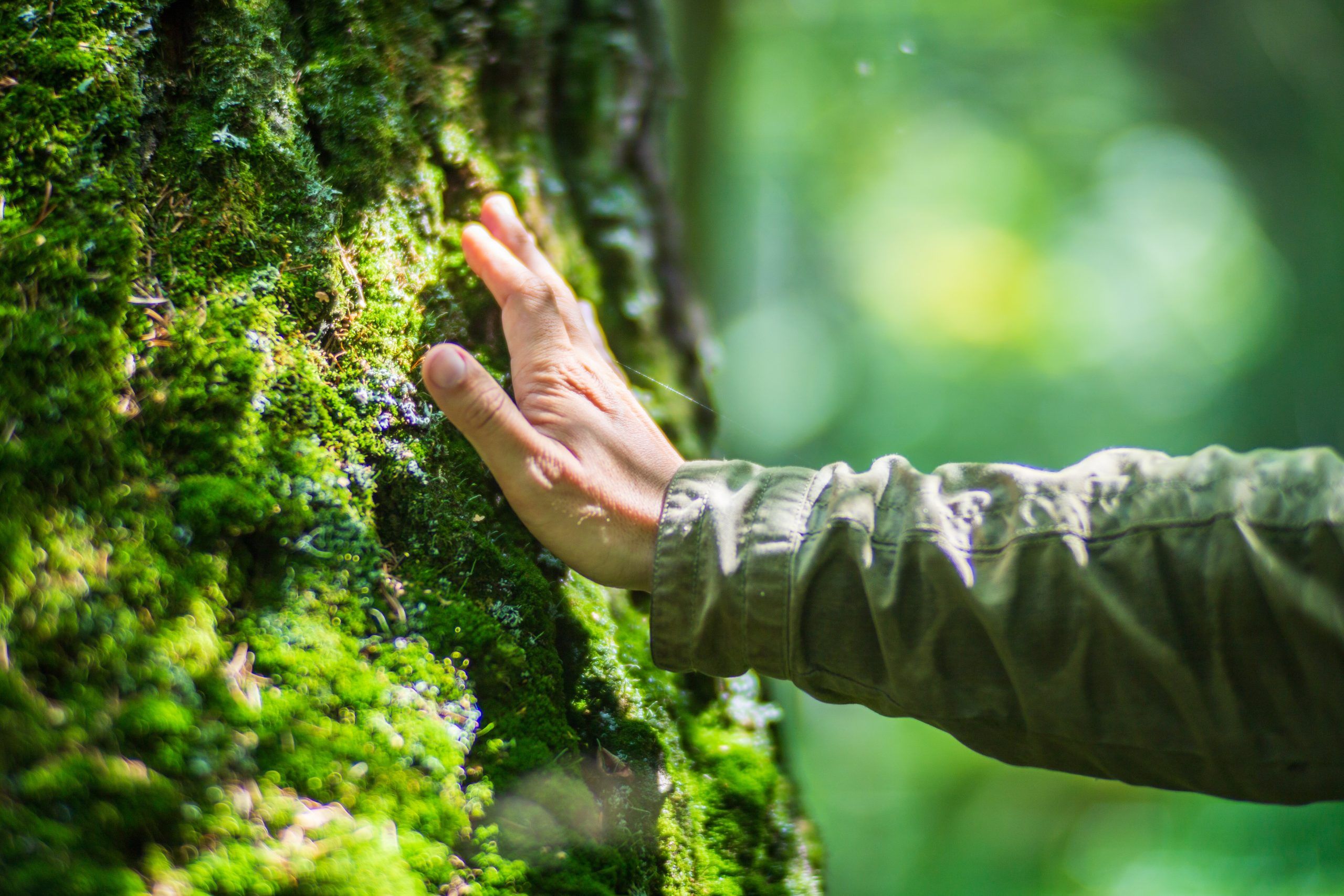 Trust in the Natural World
