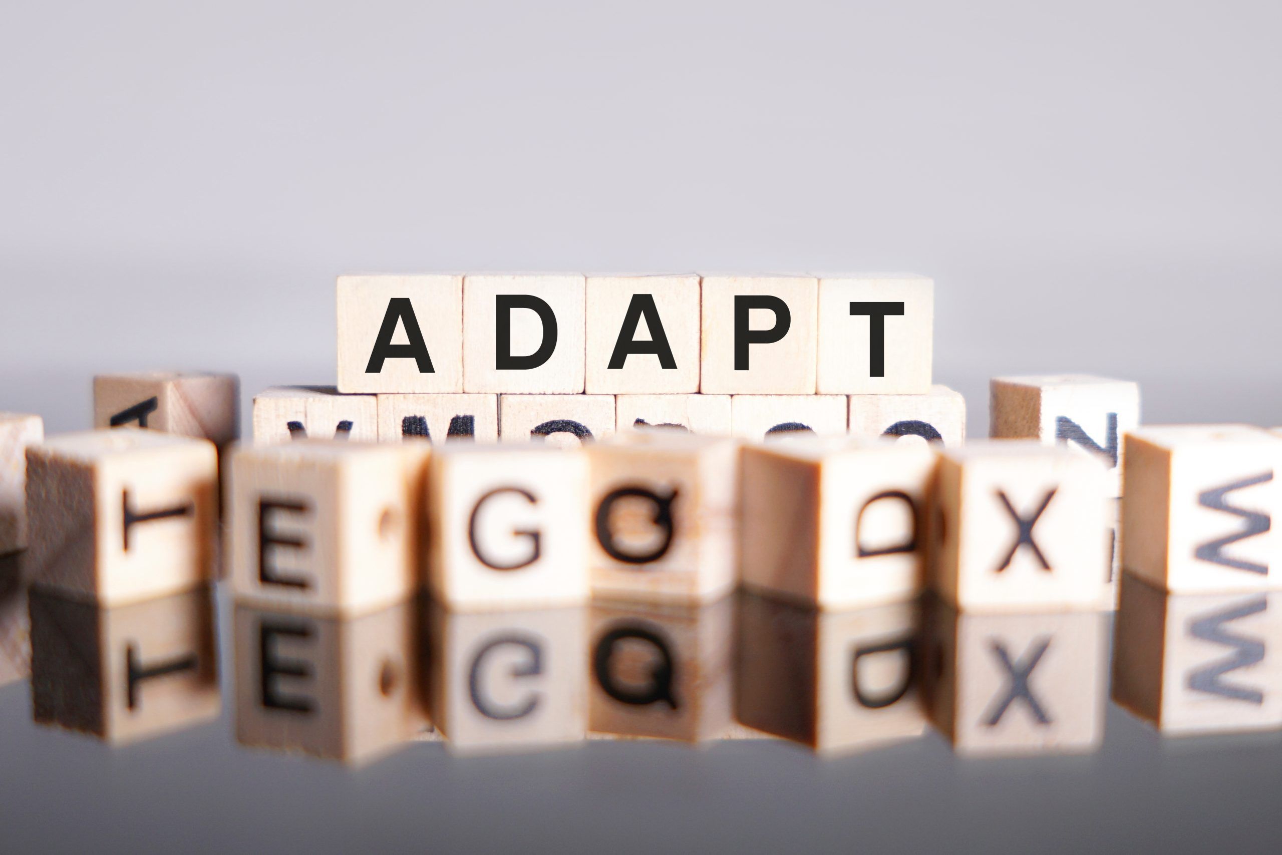 Adaptability is My Superpower