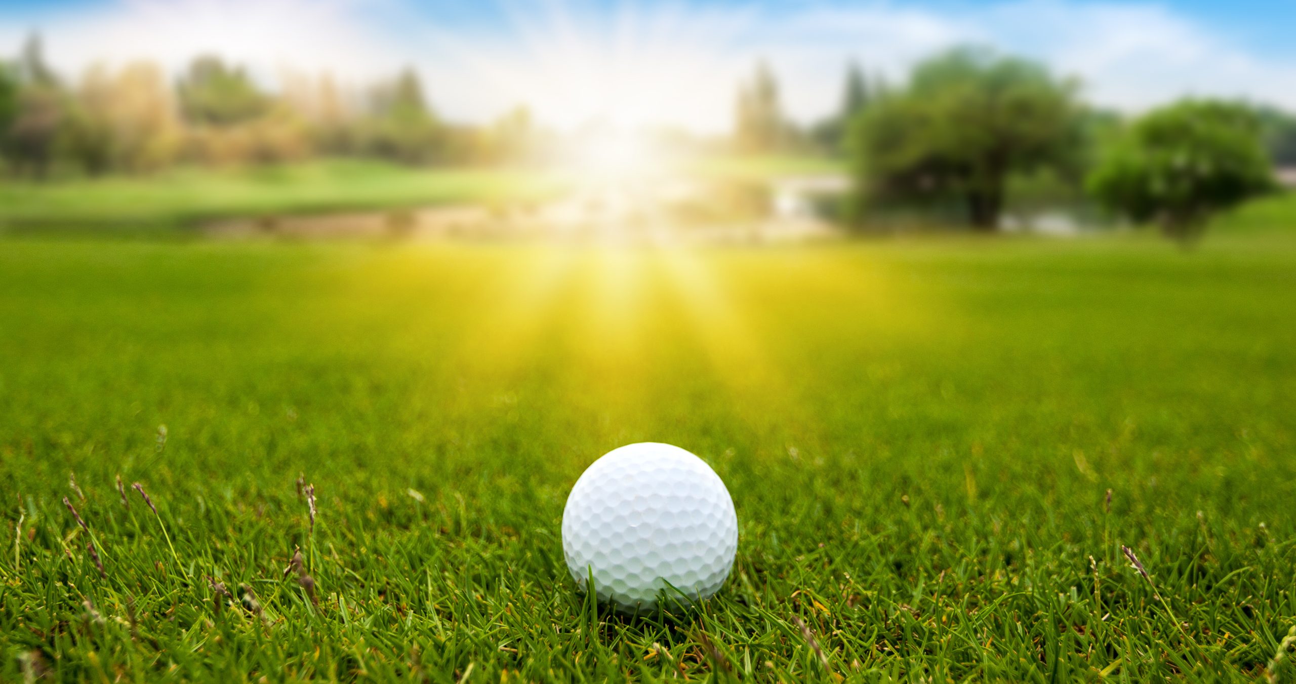 The Course to a Long and Healthy Life